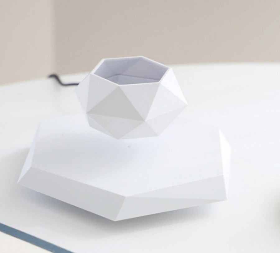 Magnetic Levitating Flower Pot