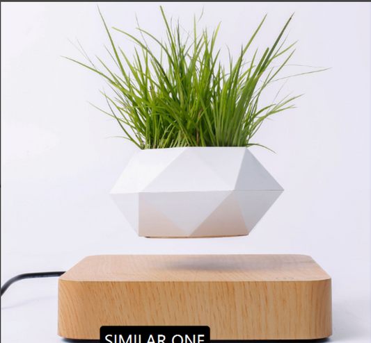 HoverWood Levitation Pot